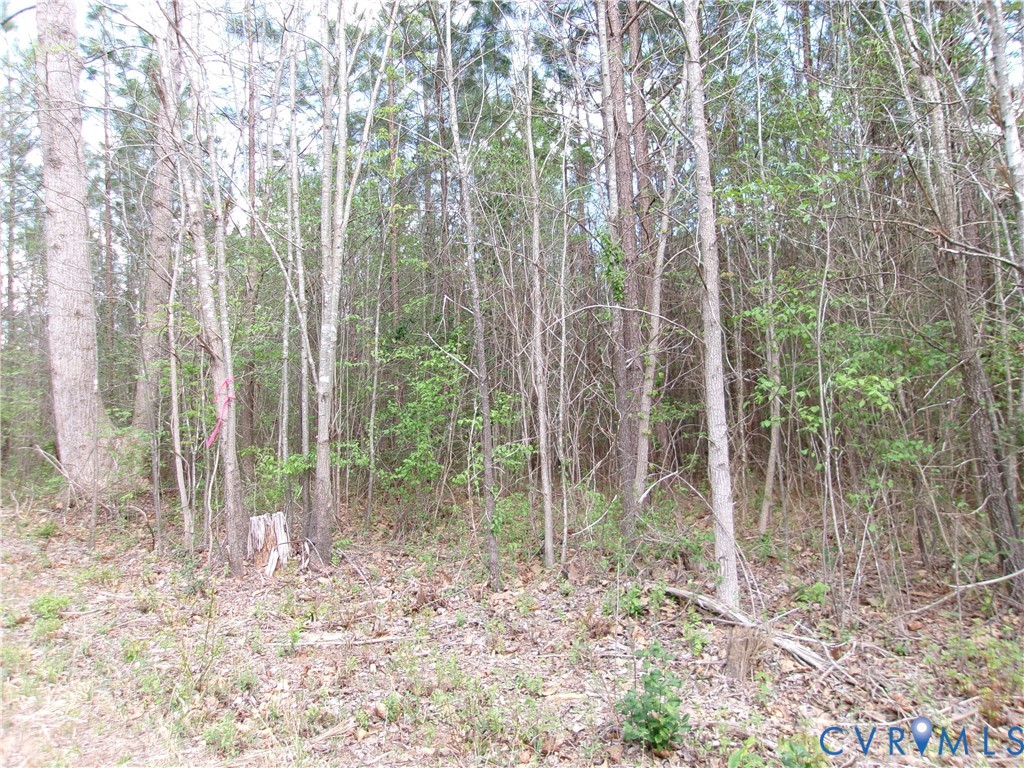 69-6)-3 Lew Jones Road Dewitt, VA 23840 - Photo 1 of 2 Gallery Image 1