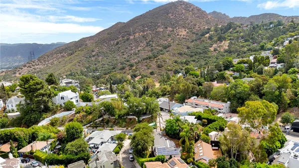 a view of a bunch of flowers and trees
