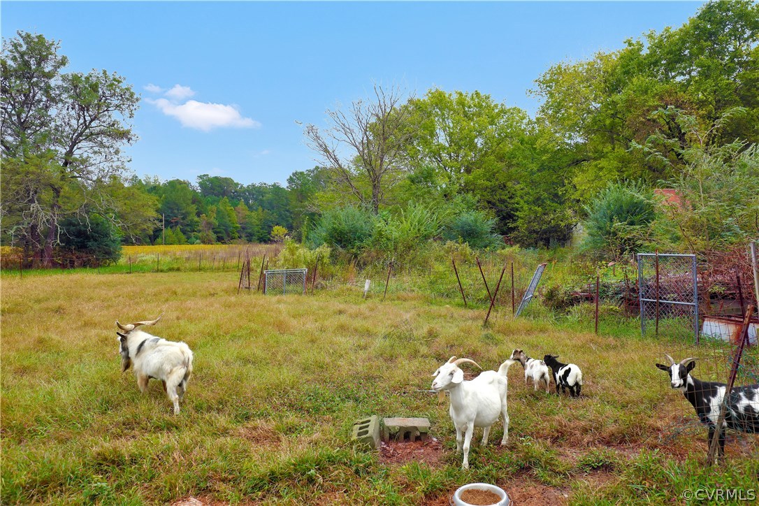 10301 County Line Road Disputanta, VA 23842 - Photo 4 of 43 Gallery Image 4