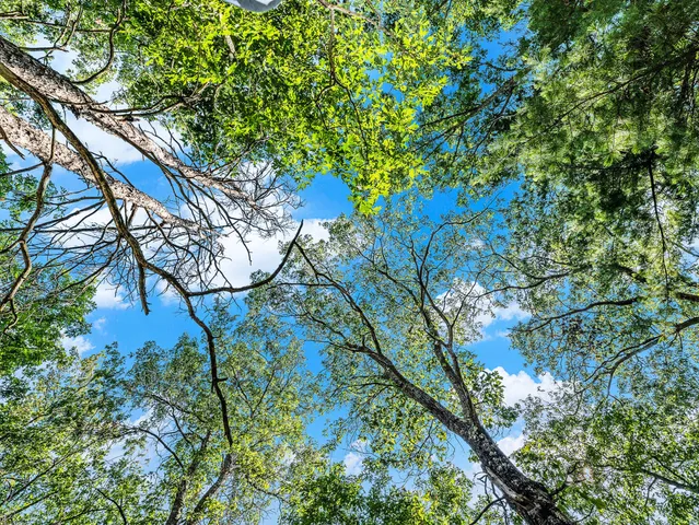 $575,000 | 2122 Skocelas Road South, Manistee, MI 49660