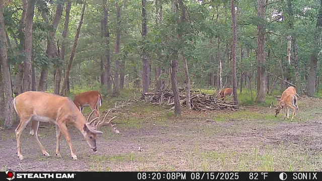 $575,000 | 2122 Skocelas Road South, Manistee, MI 49660