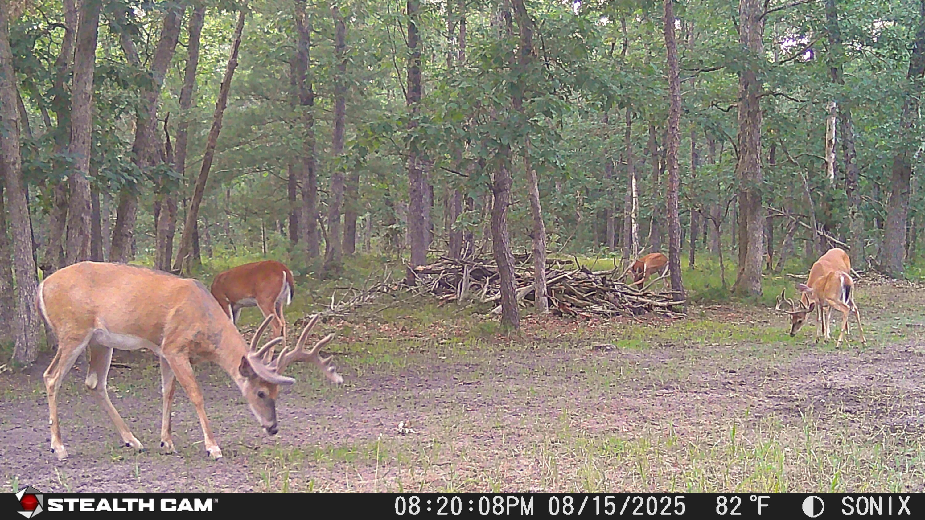 2122 Skocelas Road South Manistee, MI 49660 - Photo 54 of 54 STC_5418