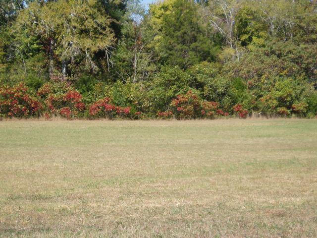 4 Link Road Rockvale, TN 37153 - Photo 3 of 4