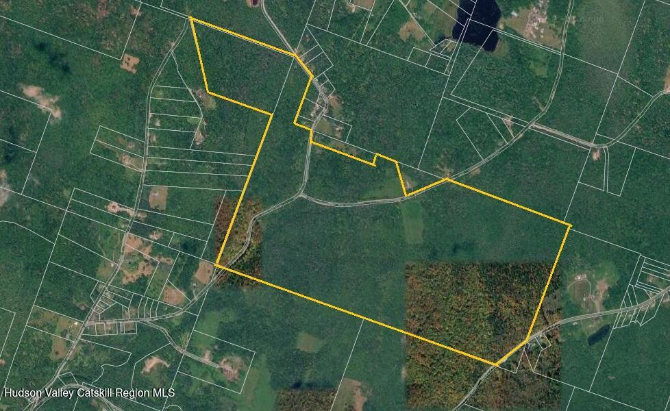 Tbd Anderson Road 1 Road Parksville, NY 12768 - Photo 11 of 27 Screenshot 2026-10-08 093708