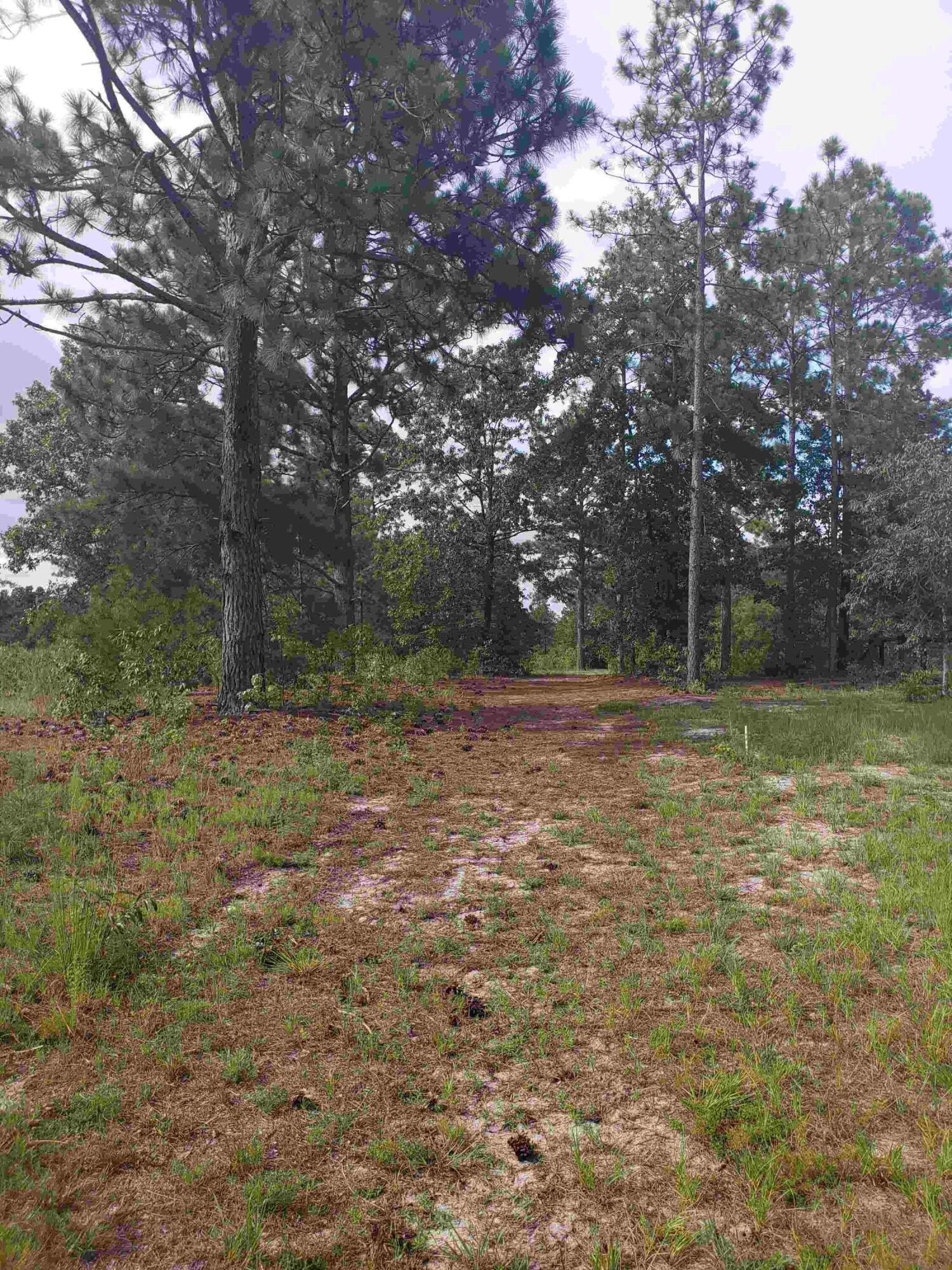 3018 Ebenezer Road Sumter, SC 29153 - Photo 26 of 39 20230729_171434_compress72