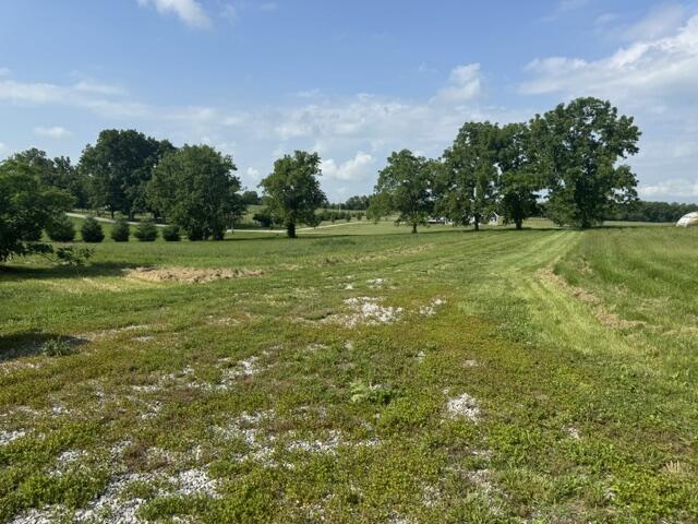 1330 Robinson Road Cynthiana, KY 41031 - Photo 62 of 67 IMG_2911
