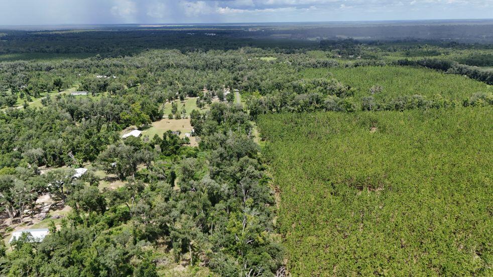 0 185th Road Live Oak, FL 32060 - Photo 20 of 22 21