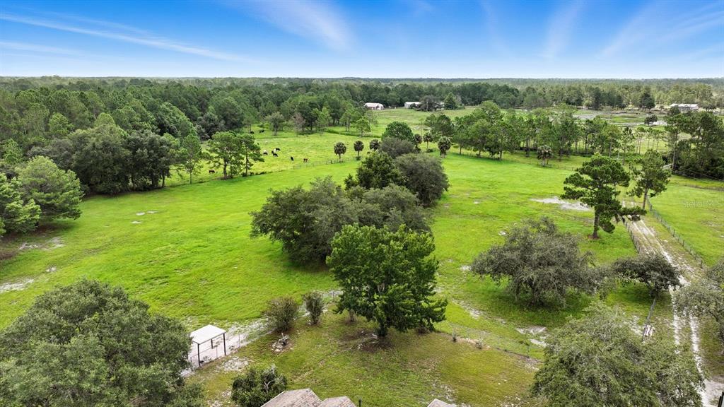 29933 Fullerville Road DeLand, FL 32720 - Photo 49 of 57 a view of a green field with lots of trees
