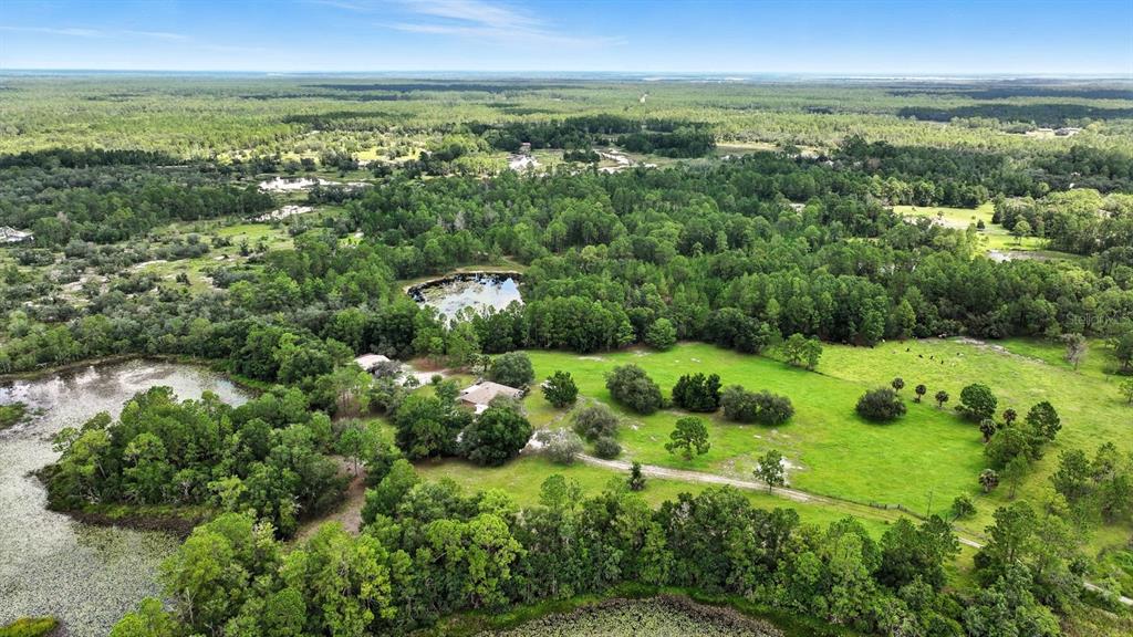 29933 Fullerville Road DeLand, FL 32720 - Photo 53 of 57