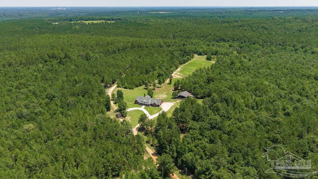 6382 Daniel Griffis Road Jay, FL 32565 - Photo 5 of 59