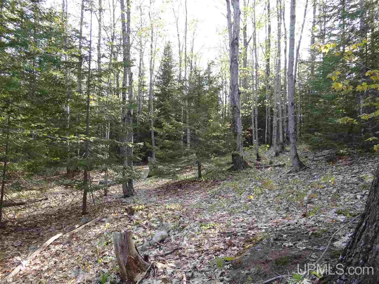 Tbd Rauhala Road, Unit PARCEL 3 Atlantic Mine, MI 49931 - Photo 15 of 19