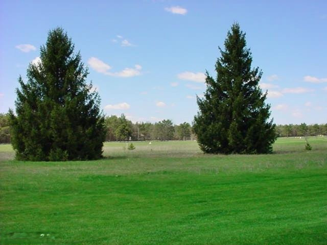 7569 Ryans Run Road, Unit 104 Canadian Lakes, MI 49346 - Photo 5 of 8 Additional Photo