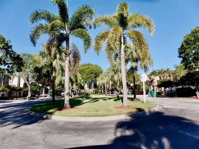 a view of a park with tree s