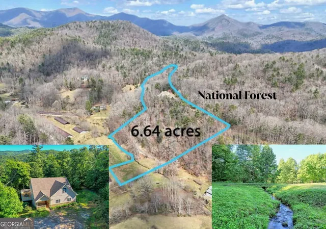 an aerial view of a house with a lush green forest