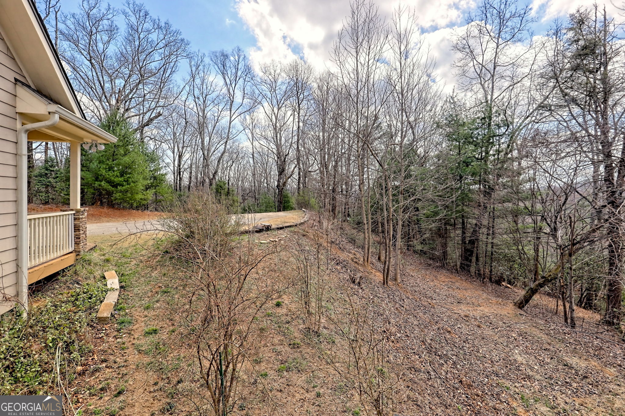 1068 Coleman River Road Clayton, GA 30525 - Photo 26 of 86 a view of a backyard with large trees