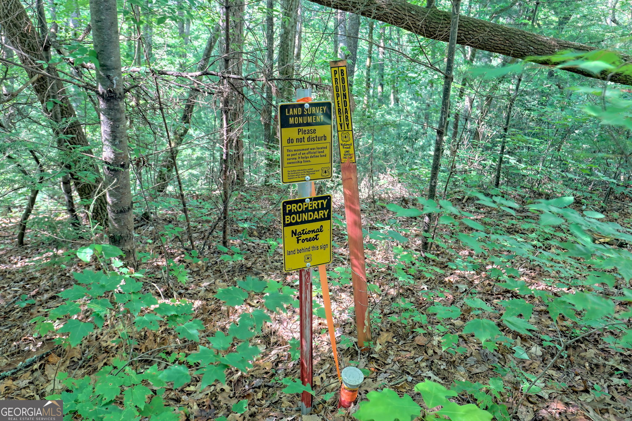 1068 Coleman River Road Clayton, GA 30525 - Photo 4 of 90