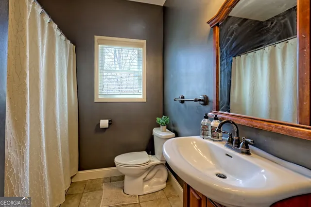 a view of a yard with plants and trees