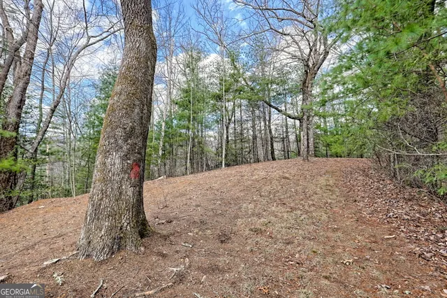 $675,000 | 1068 Coleman River Road, Clayton, GA 30525