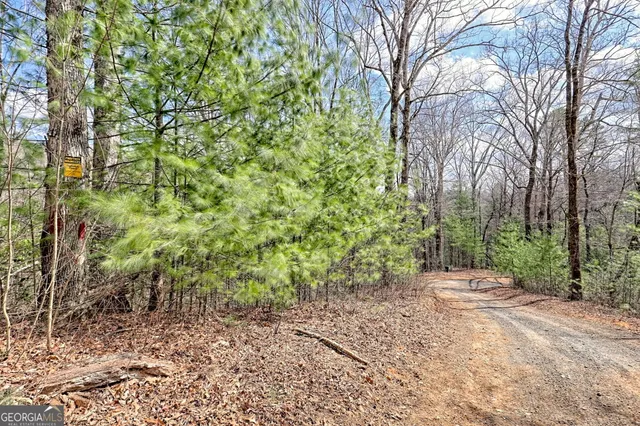 $675,000 | 1068 Coleman River Road, Clayton, GA 30525