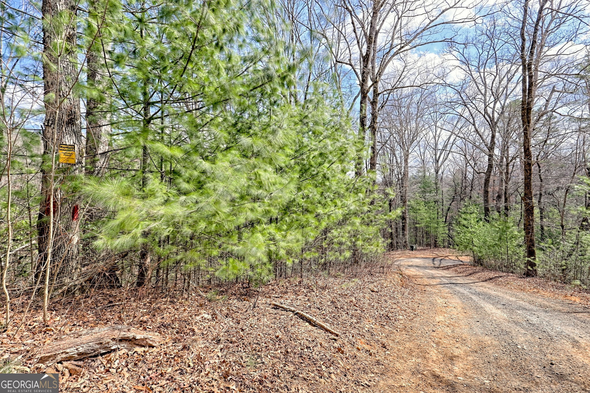1068 Coleman River Road Clayton, GA 30525 - Photo 74 of 90 a view of a yard with plants and trees