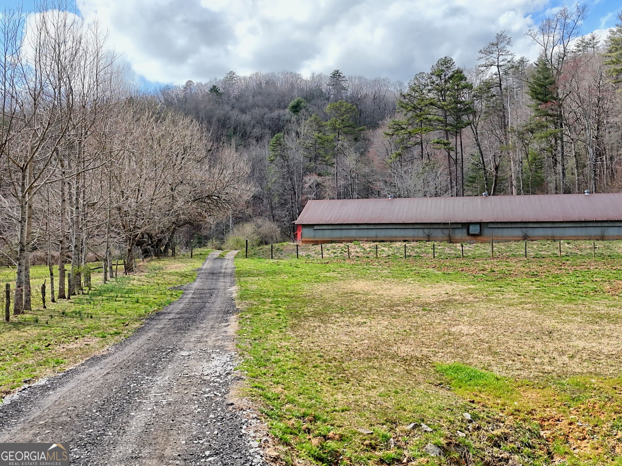 1068 Coleman River Road Clayton, GA 30525 - Photo 75 of 90 a view of a swimming pool and trees in the background