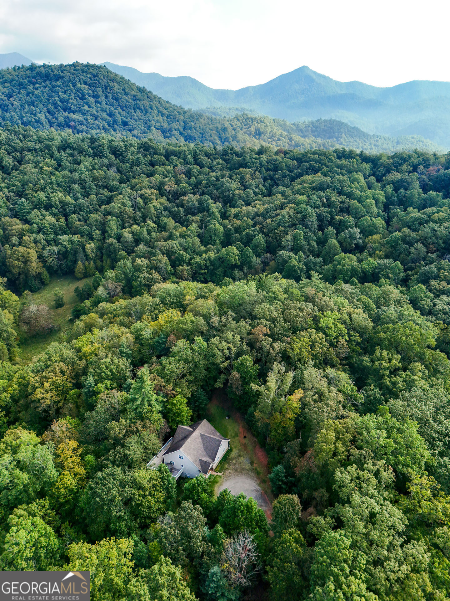 1068 Coleman River Road Clayton, GA 30525 - Photo 83 of 86 an aerial view of green landscape with trees houses and mountain view