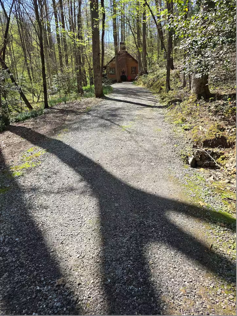2968 Hooper Branch Road Hiawassee, GA 30546 - Photo 48 of 62 Gallery Image 48