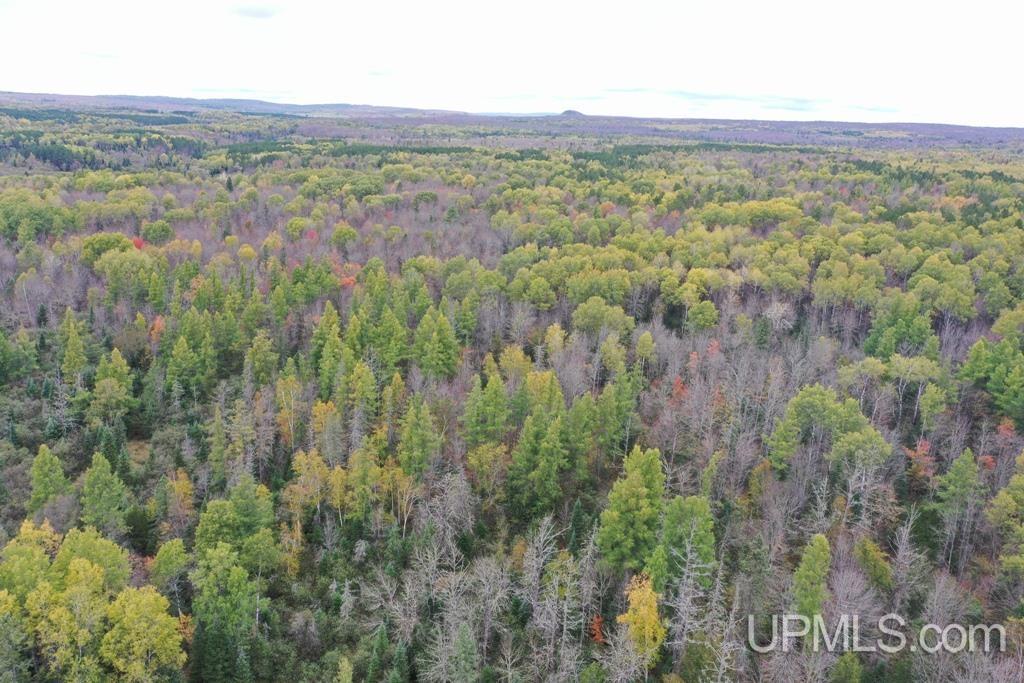 12072 Dunham Road Marenisco, MI 49947 - Photo 19 of 27 Gallery Image 19