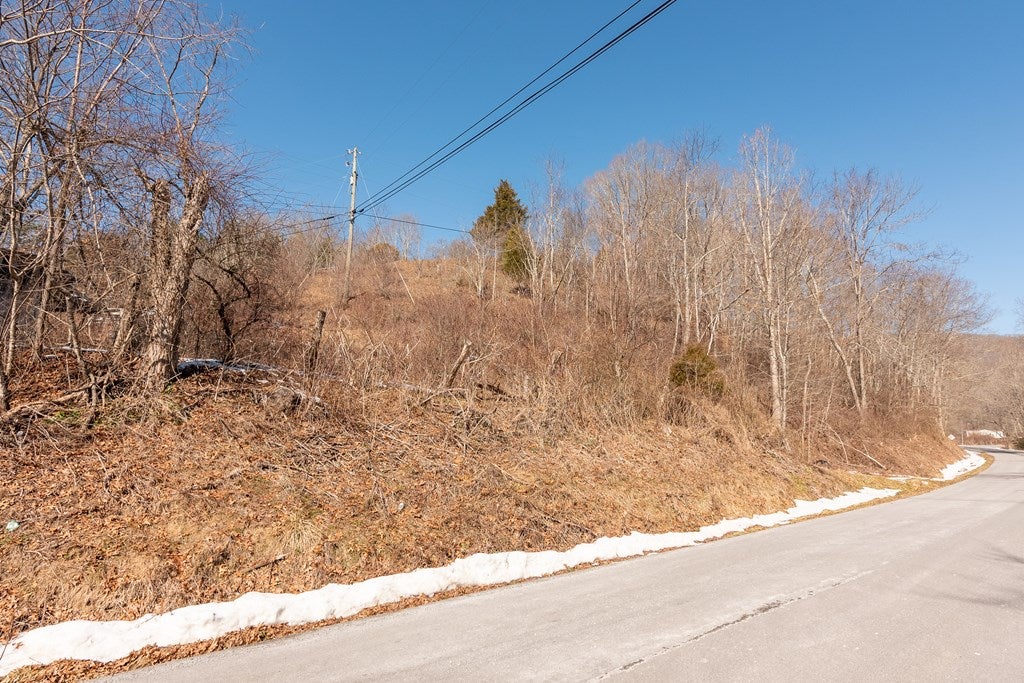 Tbd Wesendonck Road, Unit 22A Bland, VA 24315 - Photo 15 of 19 Gallery Image 15
