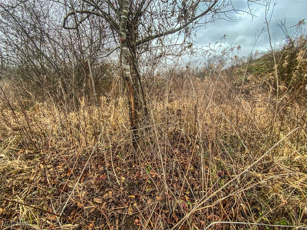 0 Wells Road Middleport, OH 45760 - Photo 13 of 27 View of nature