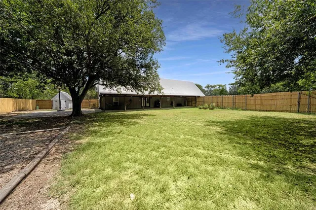 a view of a yard with a large tree