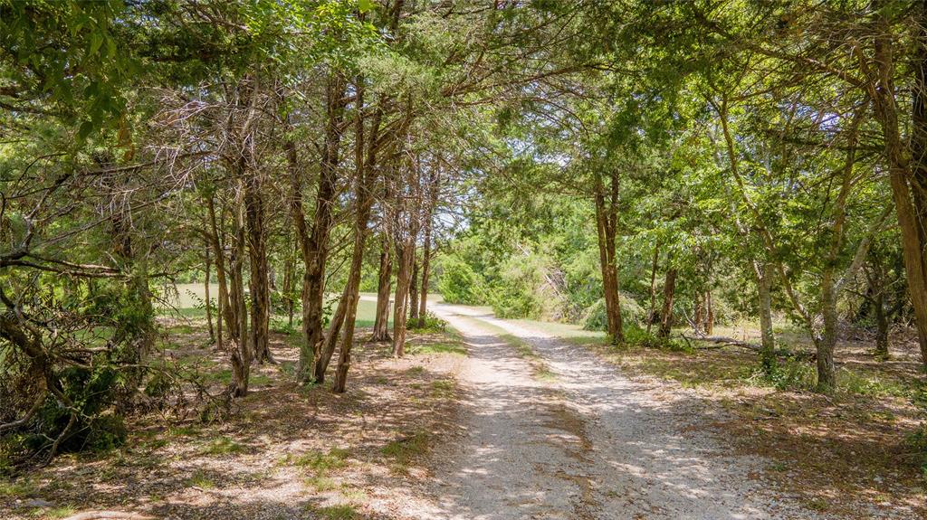 1511 North Walnut Grove Road Midlothian, TX 76065 - Photo 4 of 39 a view of backyard with outdoor space