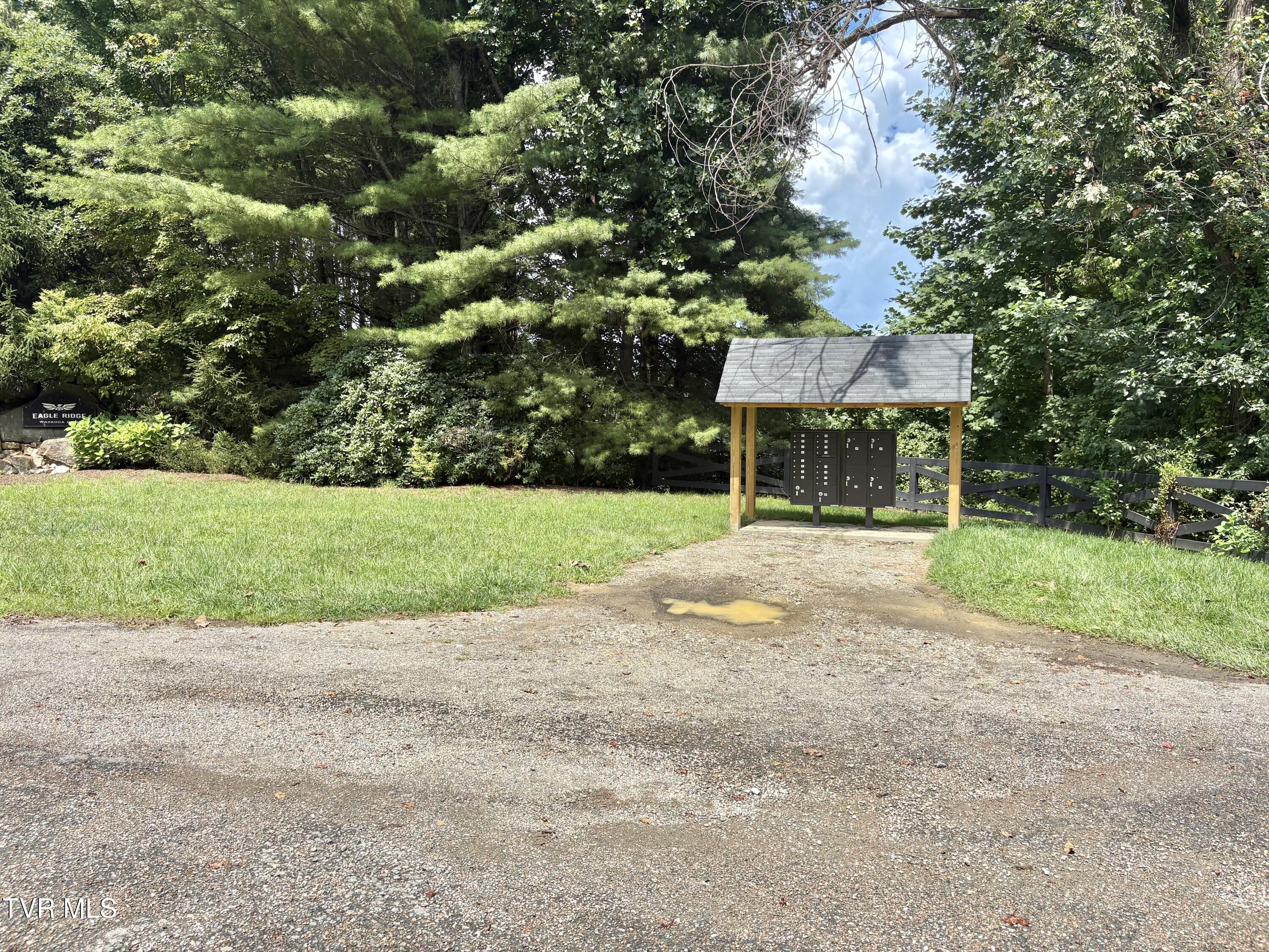 Lot 10 West Of Dry Hill Road, Unit 10 Butler, TN 37640 - Photo 7 of 22 IMG_4352