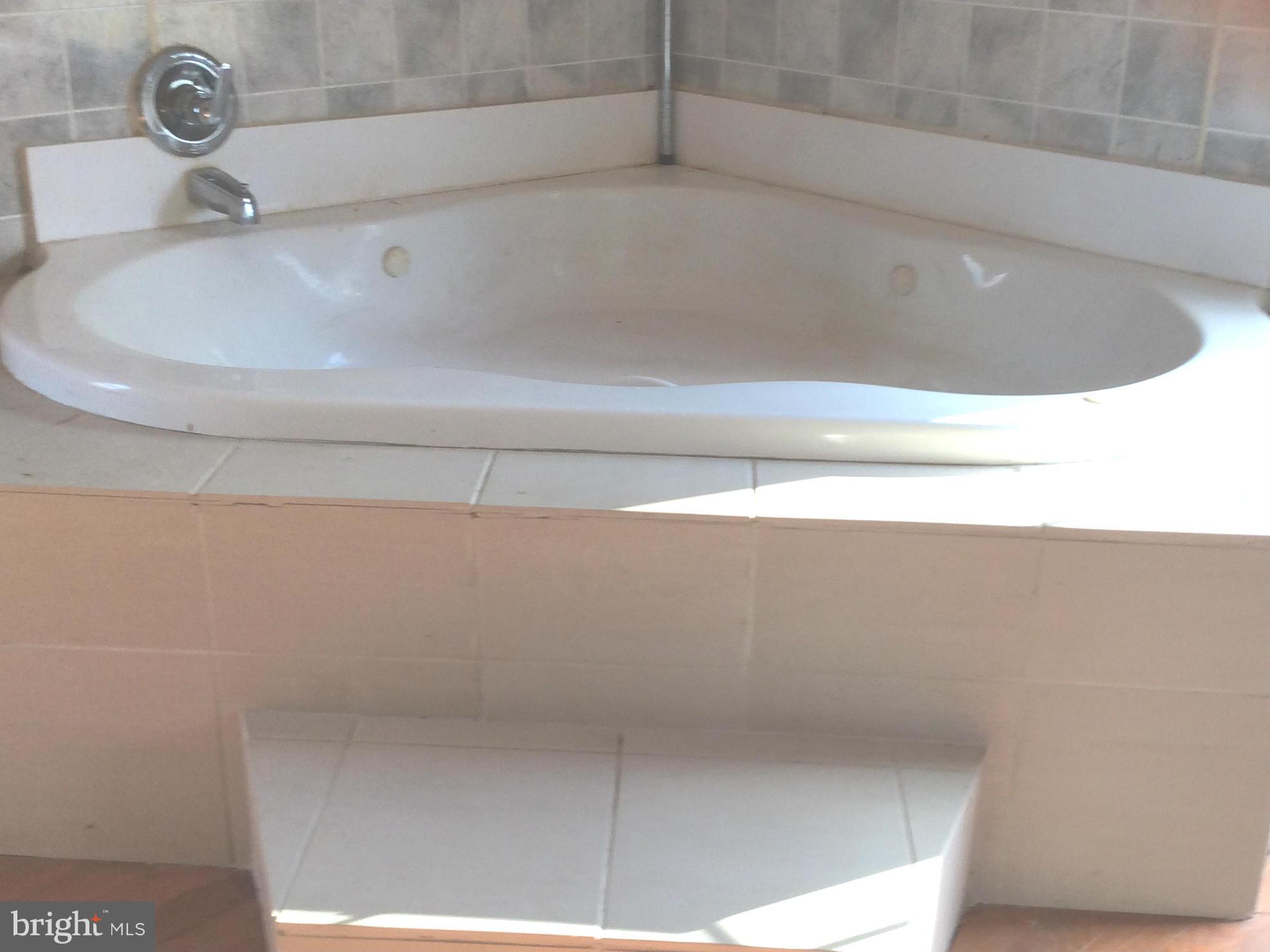 3514 Chestnut Grove Road Keedysville, MD 21756 - Photo 13 of 16 Bath (Master)