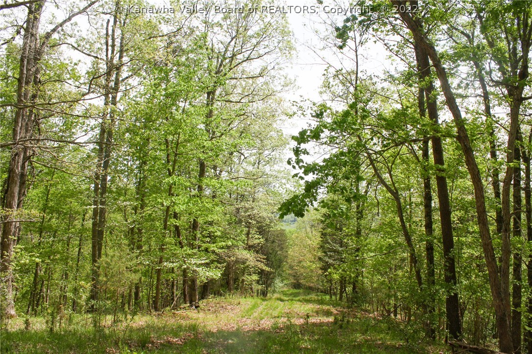 2558 Shatto Road Ripley, WV 25271 - Photo 26 of 26 Gallery Image 26