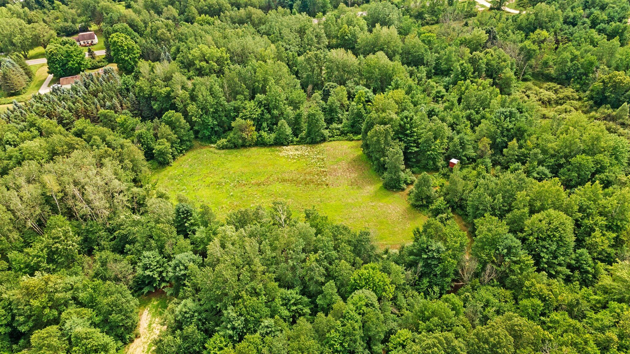 16378 Pierce Road Stanwood, MI 49346 - Photo 26 of 69 8-web-or-mls-DJI_0053