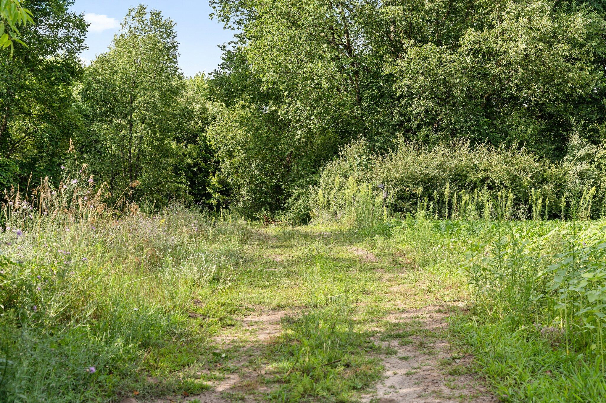 16378 Pierce Road Stanwood, MI 49346 - Photo 56 of 69 62-web-or-mls-DSC05918
