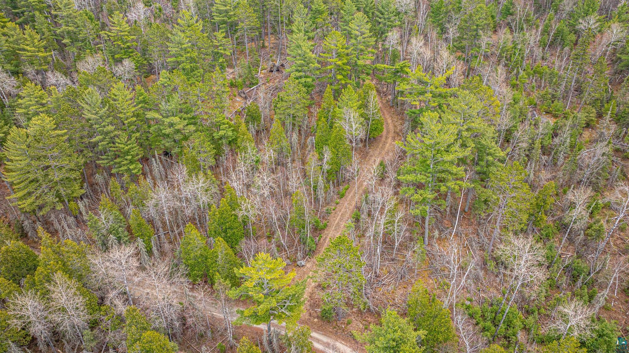Tbd Lindbeck Road Ely, MN 55731 - Photo 42 of 44