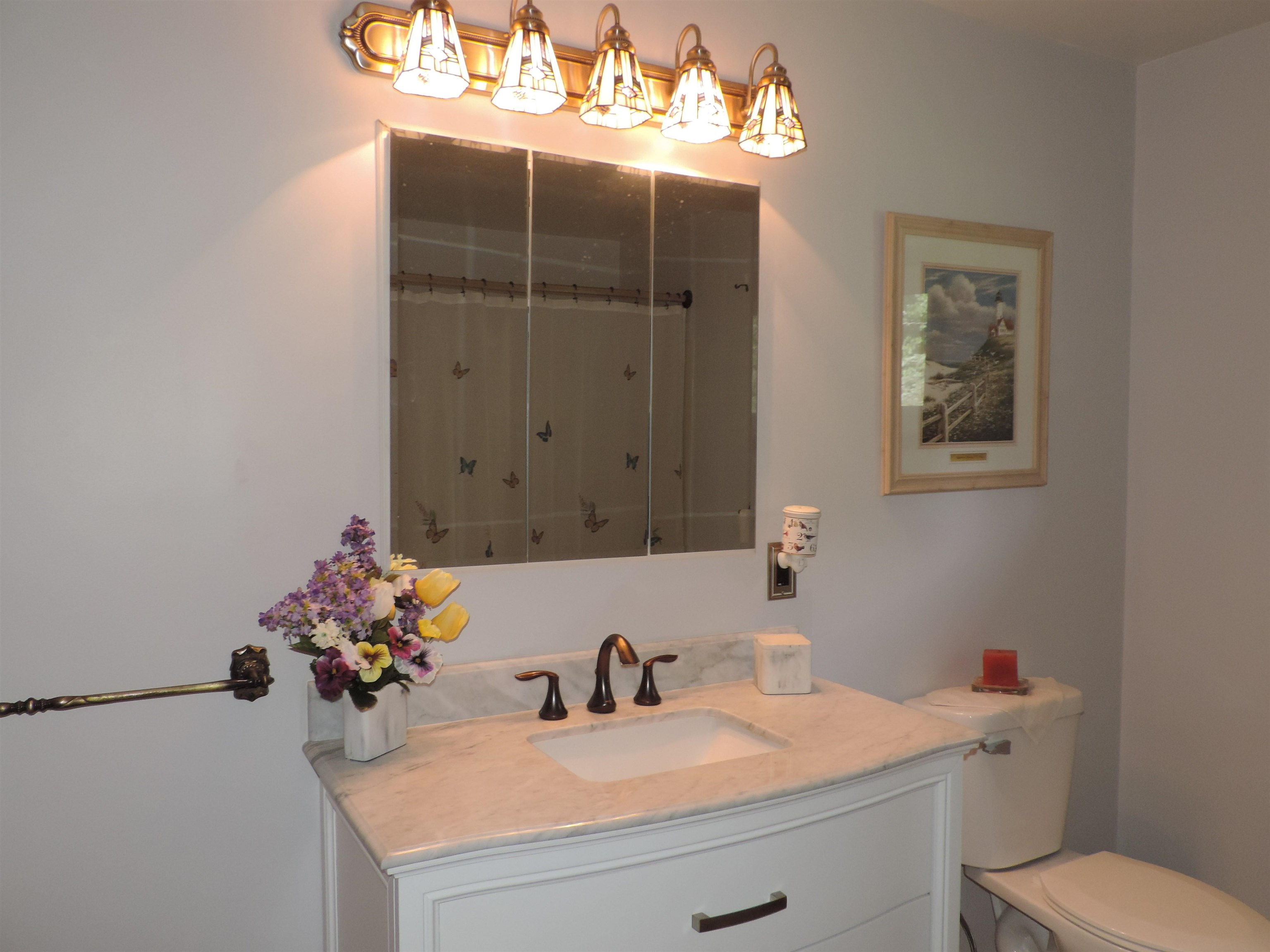 5690 South Gilmore Road Mount Pleasant, MI 48858 - Photo 30 of 39