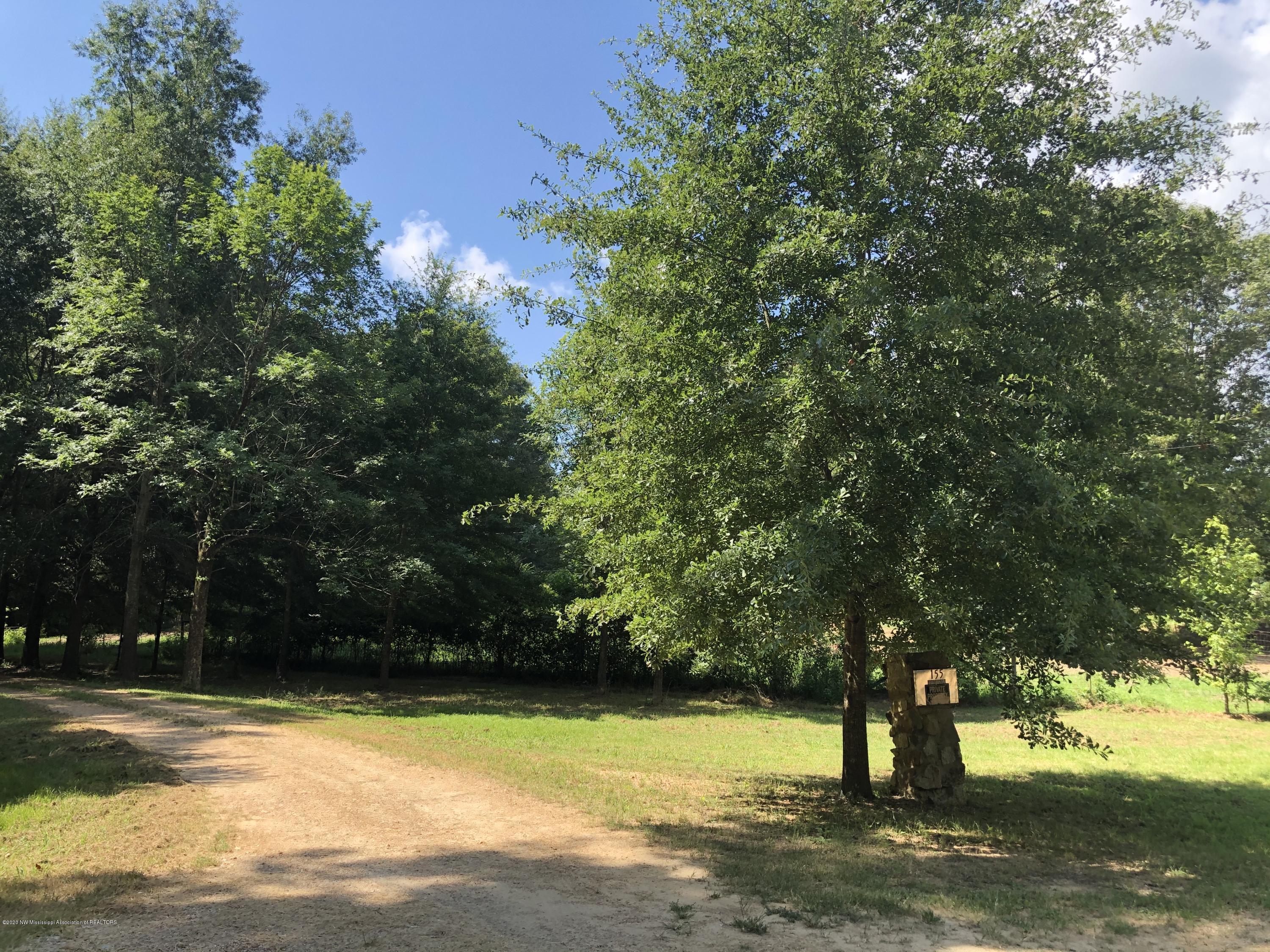 155 Hornbuckle Road Coldwater, MS 38618 - Photo 4 of 5 welcome home