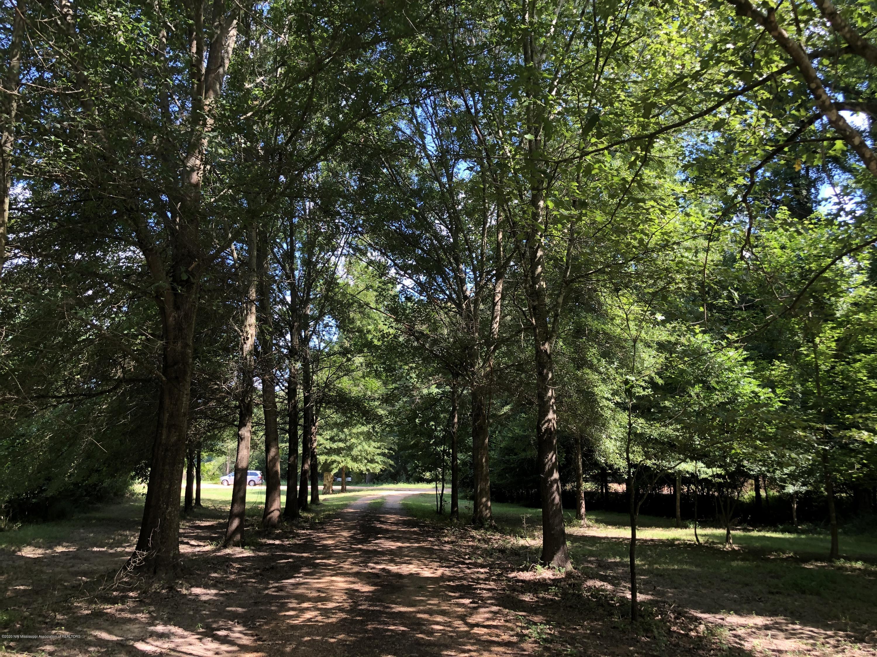 155 Hornbuckle Road Coldwater, MS 38618 - Photo 5 of 5 view as u exit the proerty