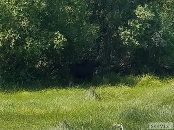 $174,900 | 3990 David Drive, Island Park, ID 83429