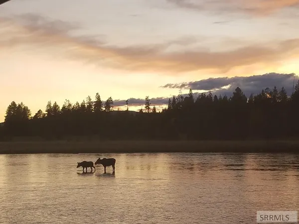 $174,900 | 3990 David Drive, Island Park, ID 83429