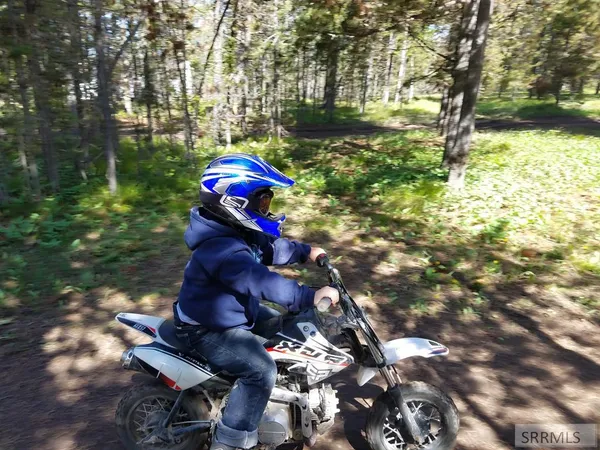 $174,900 | 3990 David Drive, Island Park, ID 83429