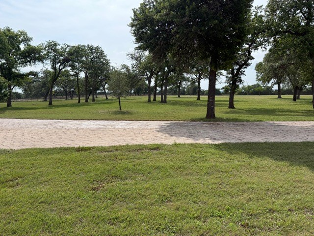 460 Eagle Ridge Road Center Point, TX 78010 - Photo 6 of 14