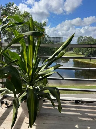 $2,500 | 2751 North Palm Aire Drive, Unit 402, Pompano Beach, FL 33069