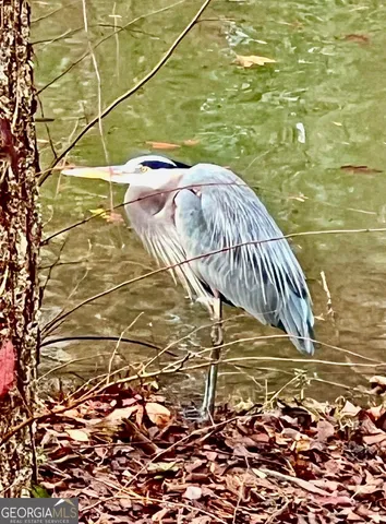 $974,900 | 50 Birch Road, Covington, GA 30014