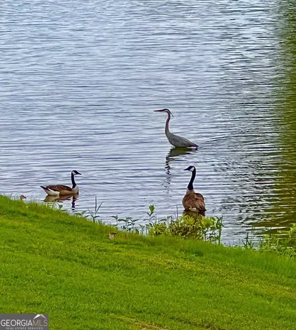 $974,900 | 50 Birch Road, Covington, GA 30014