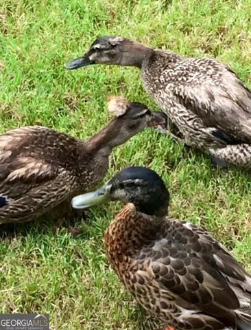 $974,900 | 50 Birch Road, Covington, GA 30014