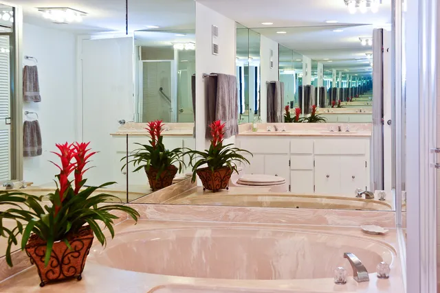 a close view of a faucet a sink and a potted plant